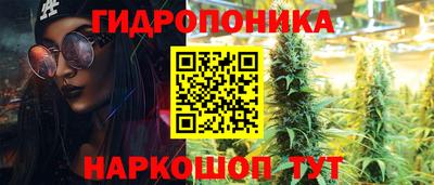 молекула духа Шахты