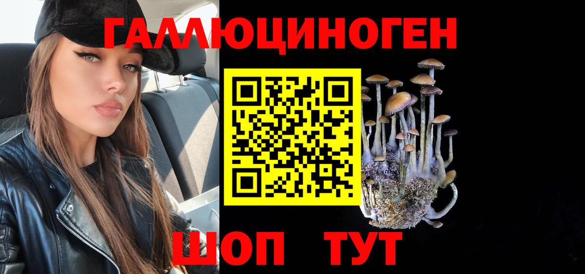 Асино  Галлюциногенные грибы прущие грибы  Вход с VPN 